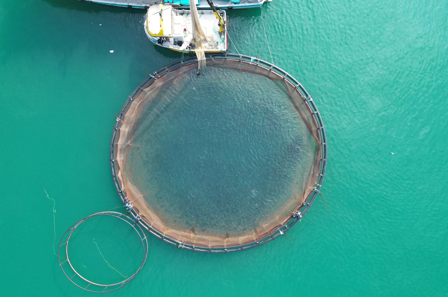 Turkish Salmon farming